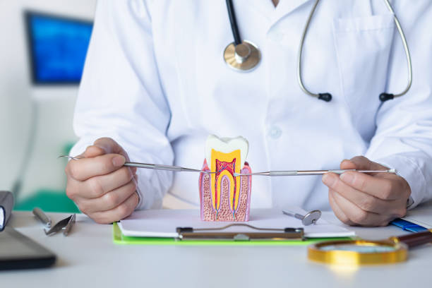 Best Urgent Dental Care for Toothaches in Highland, AR